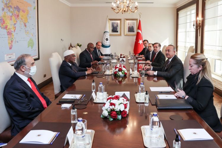 Turkish FM met with OIC Secretary-General