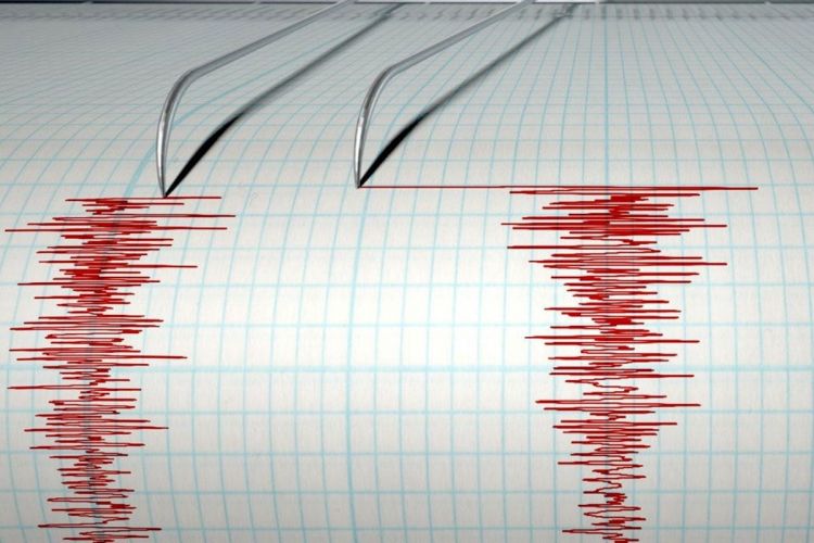 В Японии произошло землетрясение силой 6, 1 баллов