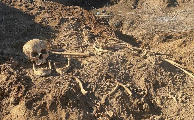 На освобожденной территории в Физули обнаружены фрагменты человеческих костей