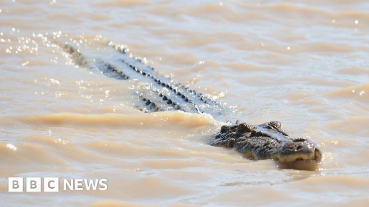Teenager bitten by crocodile as army sent to help remote areas