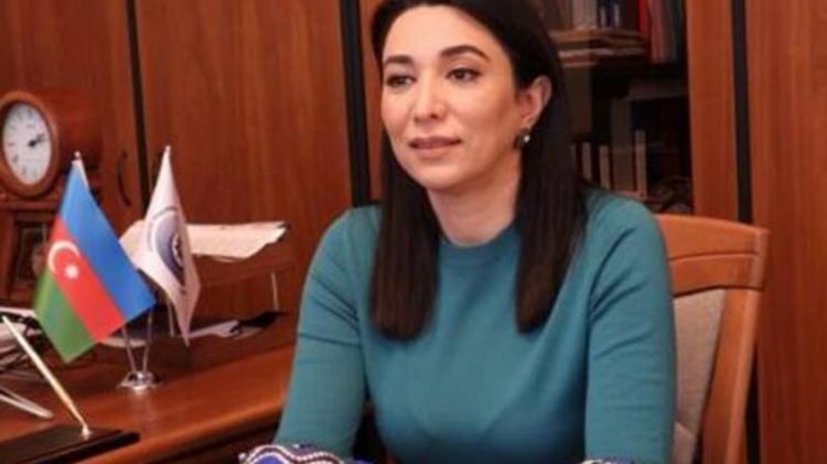 Депутаты Милли Меджлиса раскритиковали Сабину Алиеву Аппарат омбудсмена жестко ответил