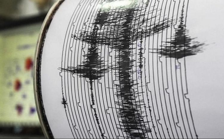 Землетрясение магнитудой 5,9 зафиксировали у берегов Австралии