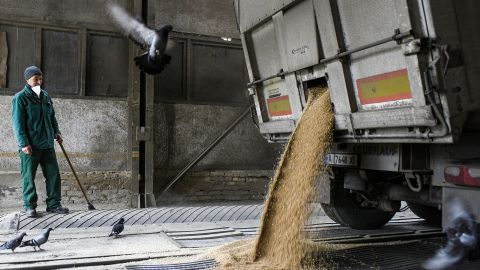 Украина начала переговоры по продлению зернового соглашения