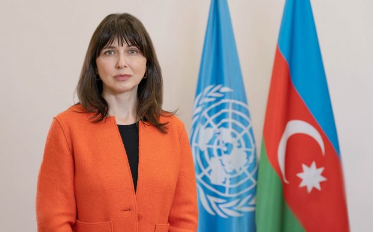 Число получающих STEM-образование в Азербайджане девушек радует Представитель ООН