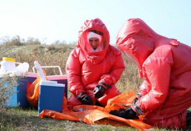 В Азербайджане пройдут мониторинги по птичьему гриппу