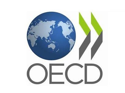 Azerbaijan has potential to further strengthen SME digitalization, says OECD