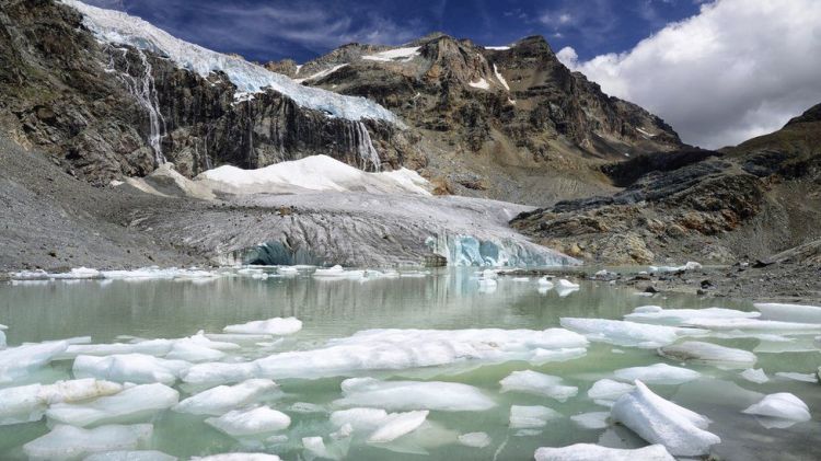 Scientists release 'survival guide' to avert climate disaster