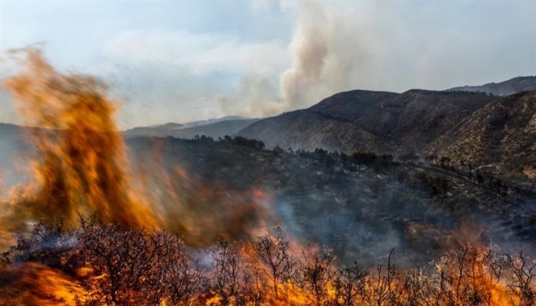 انطلاق موسم الحرائق في إسبانيا...تدمير 3 آلاف هكتار في فالنسيا