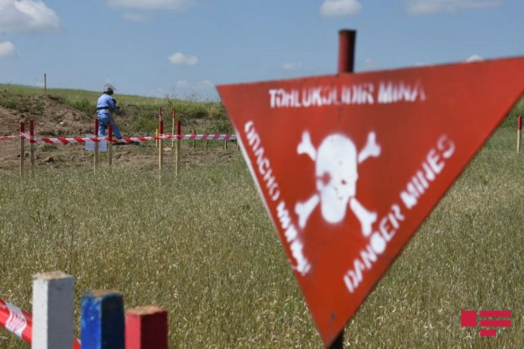 Azerbaijan's Mine Action Agency detects another 609 landmines