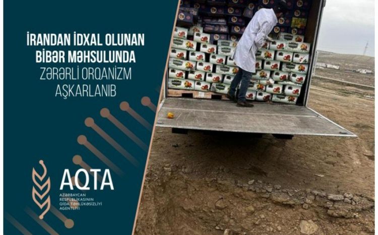 İrandan Azərbaycana gətirilən 5 ton bibər yararsız ÇIXDI