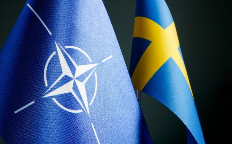 Турция в начале июня организует встречу для обсуждения вступления Швеции в НАТО