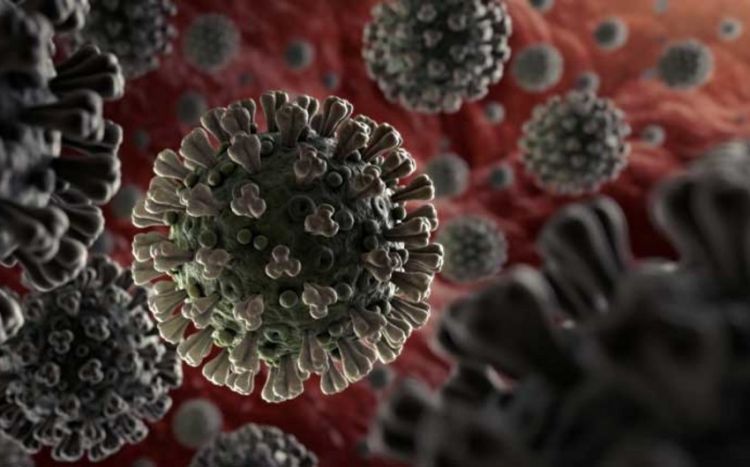 Ученые впервые подтвердили случаи заражения плода коронавирусом от матери