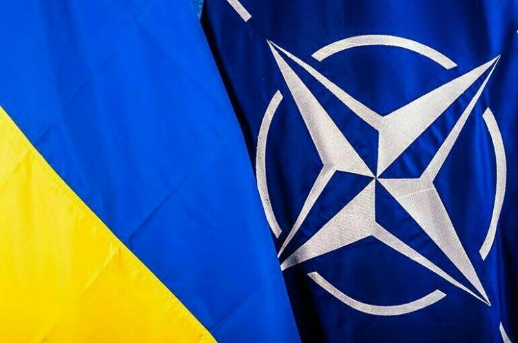 "Вступление Украины в НАТО - красная тряпка для медведя" или ПОЧЕМУ Украина не вступит в ряды НАТО
