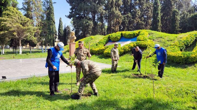 Azərbaycan Ordusunda keçirilən ağacəkmə aksiyaları davam edir