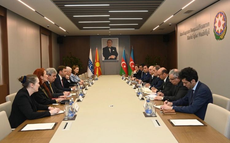Прошла встреча главы МИД Азербайджана с действующим председателем ОБСЕ в расширенном формате