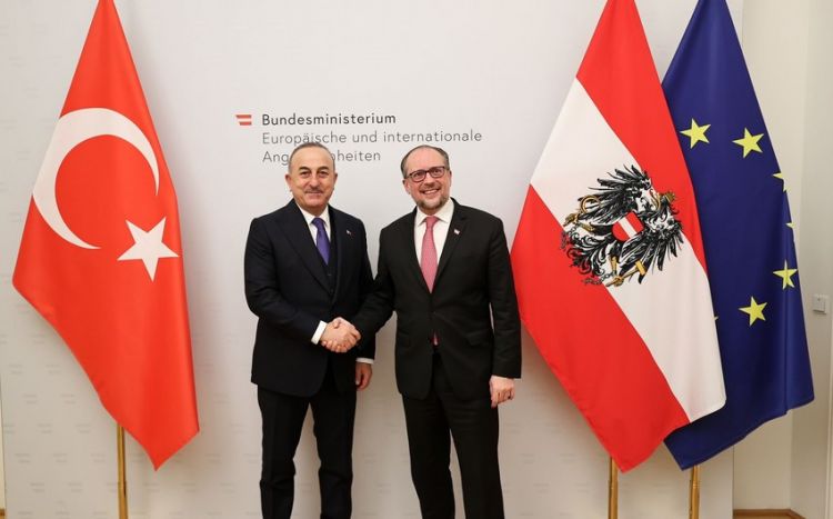 Главы МИД Турции и Австрии в Вене обсудили ситуацию на Южном Кавказе