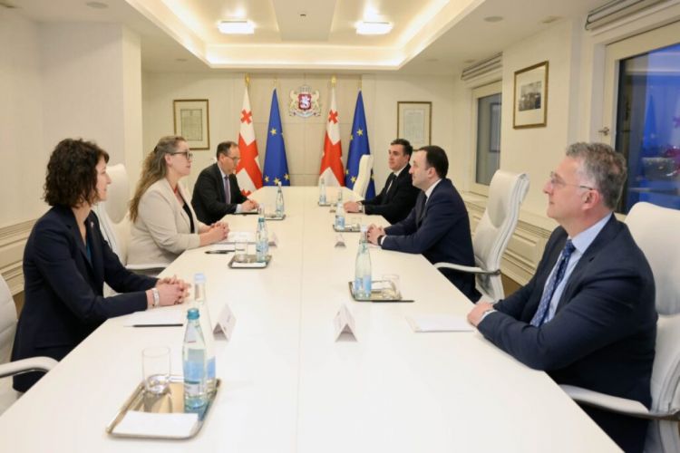 Georgian PM meets US Deputy Assistant Secretary of State