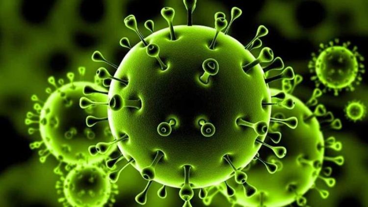 إكتشاف متحور جديد لفيروس كورونا في روسيا