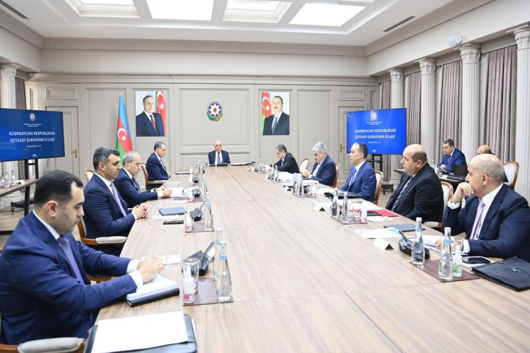 Azerbaijan holds Economic Council meeting