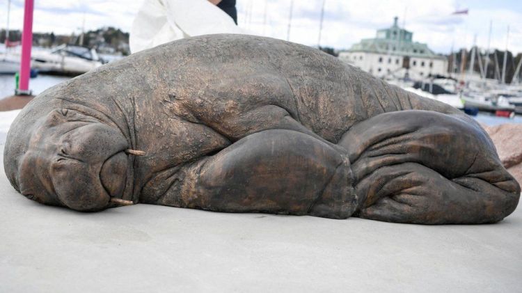 Walrus Freya killed by Norway gets Oslo sculpture