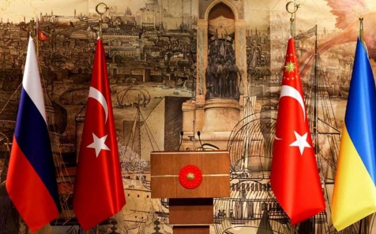 В Стамбуле делегации Турции, Украины и РФ обсудят поставки аммиака