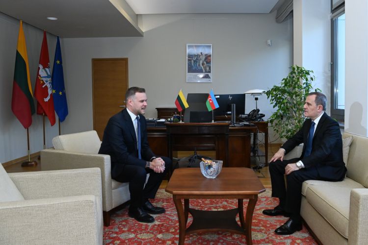 Azerbaijani FM informed his Lithuanian counterpart about efforts to achieve peace