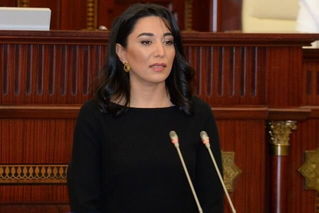 Azerbaijani Ombudsman makes appeal on Armenian Armed Forces’ next provocation