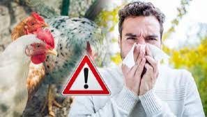 البرازيل تُسجّل أولى الإصابات بإنفلونزا الطيور شديدة العدوى