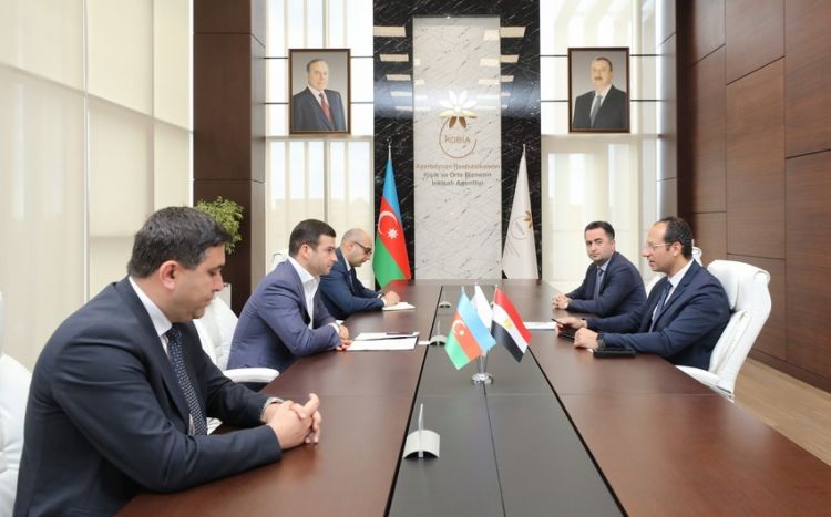 МСП Азербайджана могут наладить сотрудничество с египетской компанией Elsewedy Electric