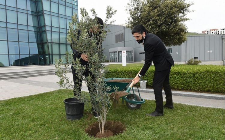 SOCAR провела акцию по посадке деревьев в рамках "Года Гейдара Алиева"