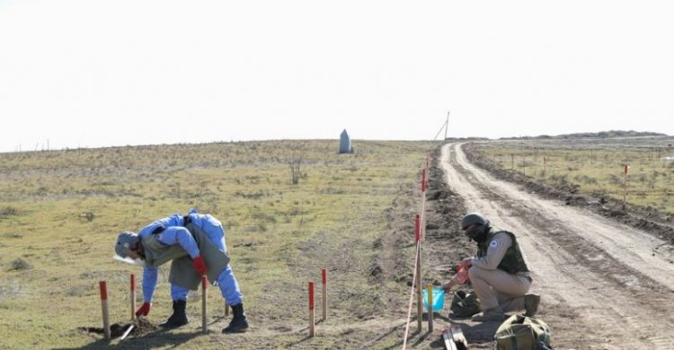 В Азербайджане от мин очищено более 81 тыс. гектаров территорий