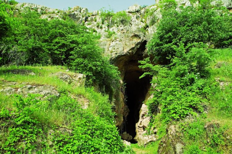 Azıx mağarası ilə bağlı işçi qrup yaradıldı