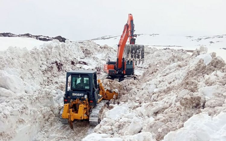 Армия Азербайджана очистила до 600 га освобожденных территорий от мин в мае