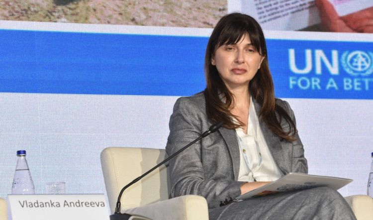 Vladanka Andreeva: Necessary to coordinate efforts to speed up demining in Azerbaijan
