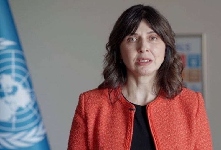UN Azerbaijan is proud of its longstanding partnership with ANAMA, says resident coordinator