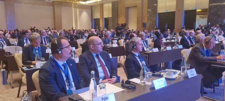 Baku hosts  II International Conference on Mine Action
