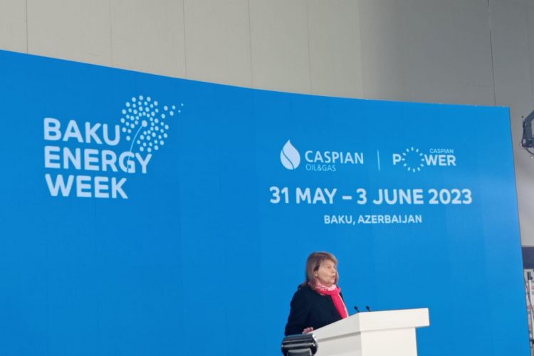 UK Prime Minister's Trade Envoy attends Baku Energy Week
