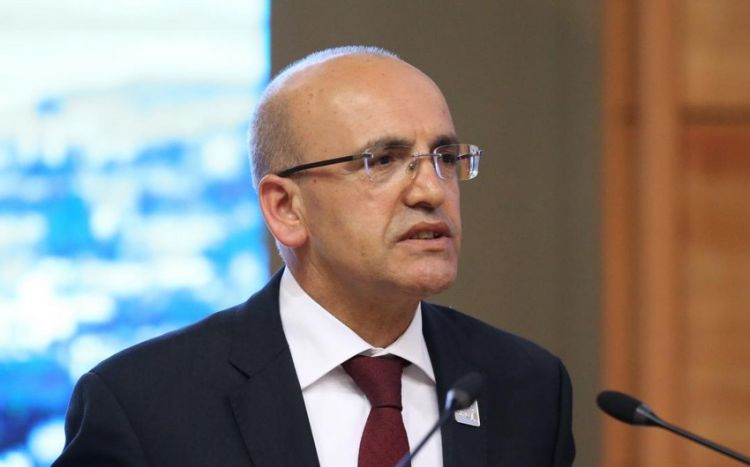 Бывший вице-премьер Турции принял предложение управлять экономикой страны