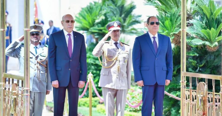 السيسي والرئيس الموريتاني يطالبان بـ"حلول وسطى" في سد النهضة