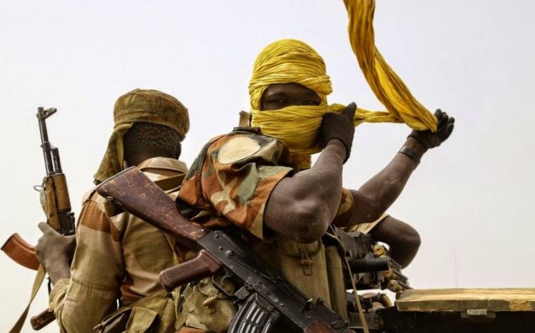 Боевики "Боко Харам" похитили на северо-востоке Нигерии 30 пастухов