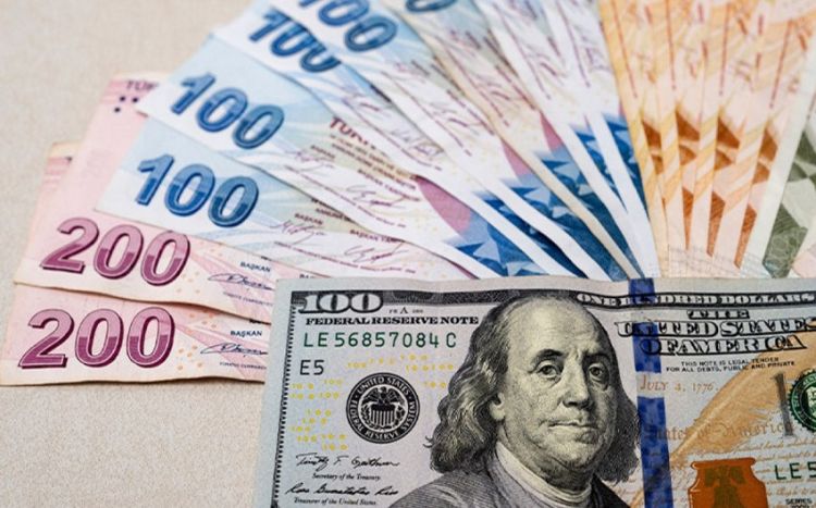 Турецкая лира подешевела по отношению к доллару