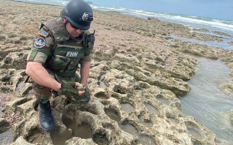 На берегу Каспийского моря обнаружена граната