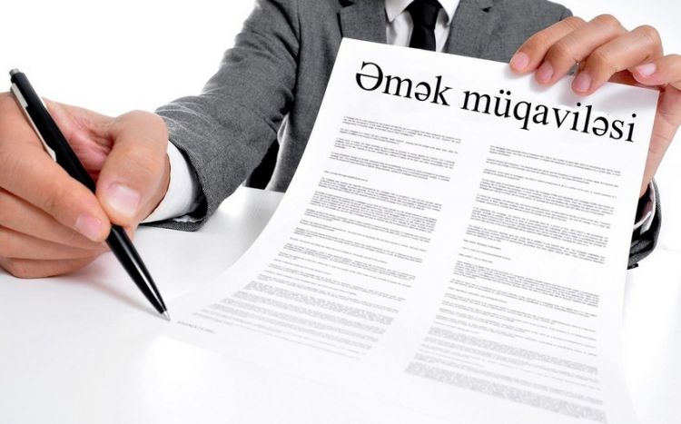 Обнародовано количество трудовых договоров в Азербайджане