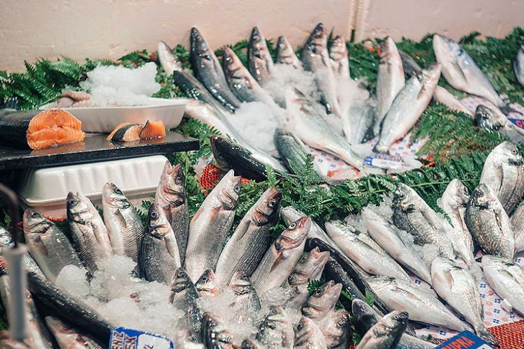 Azərbaycan Avropaya balıq ixrac edəcək Ehtiyatlarımız buna imkan verirmi? – AÇIQLAMA