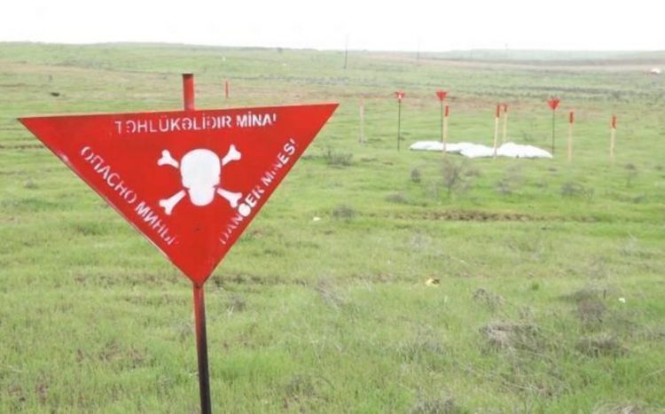 42 more mines found in Azerbaijan's liberated areas