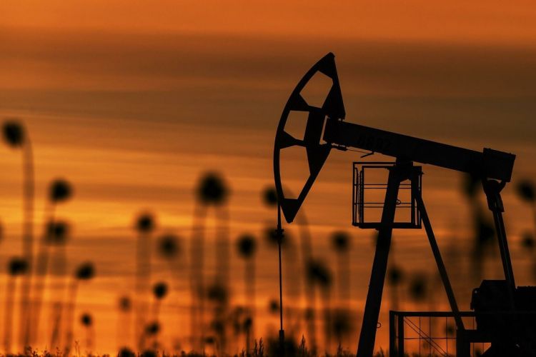 Oil price slightly increases on world market