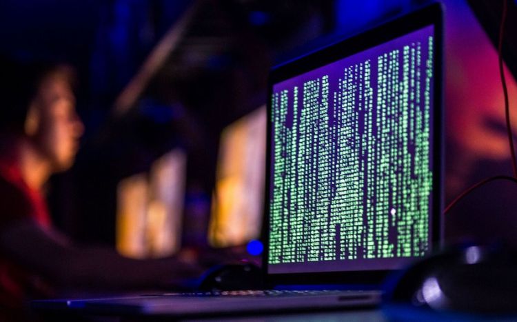 В Нидерландах заявили о кибератаке "пророссийских хакеров" на порт Роттердама