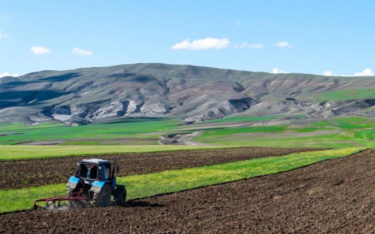 Аграрное оборудование и техника освобождены от НДС в Азербайджане
