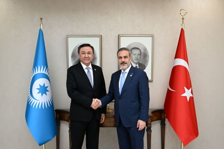 Turkish FM met with OTS Secretary General