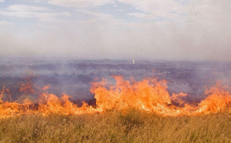 Госслужба предупредила земледельцев, выжигающих скошенные поля